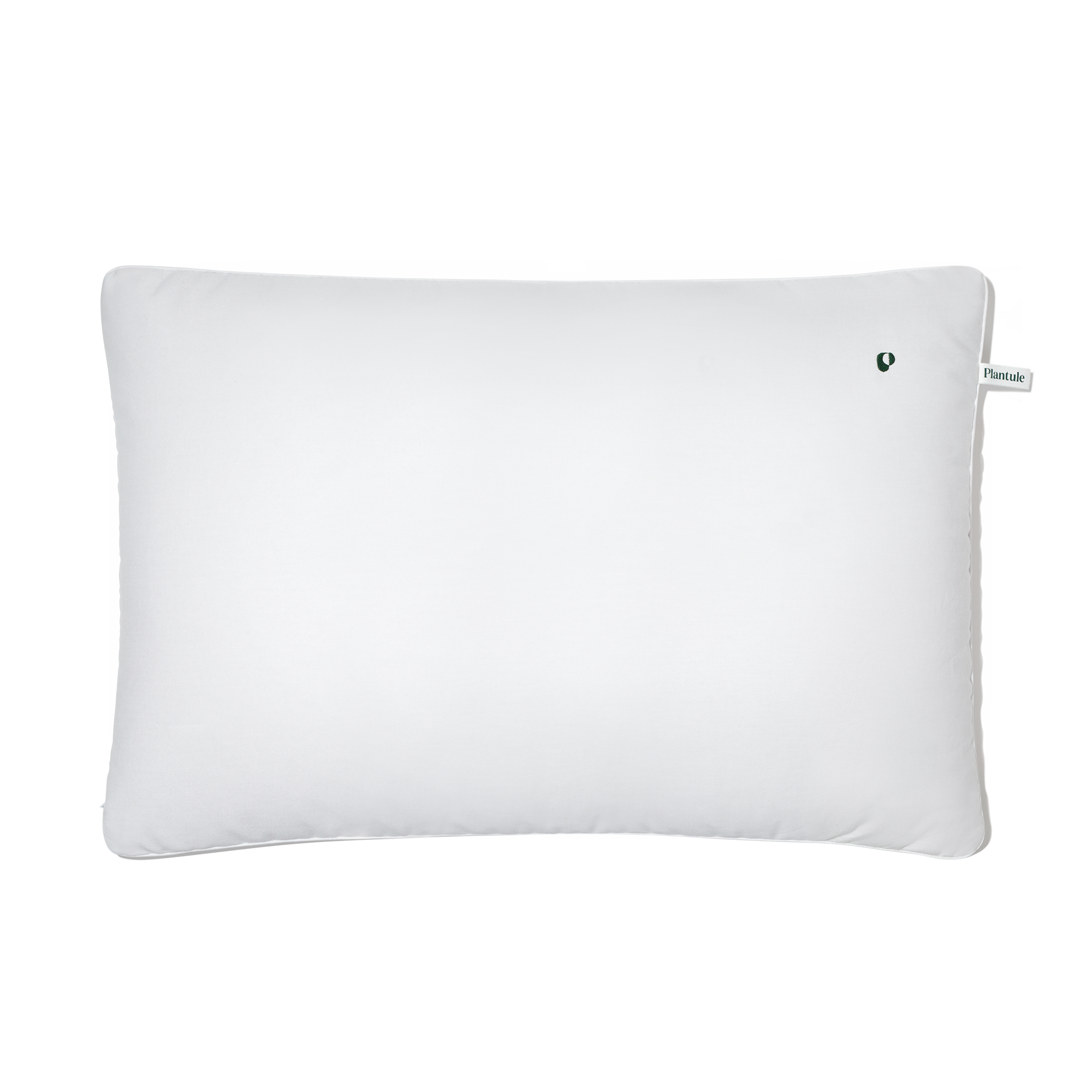 BF: Buckwheat husk pillow - bestseller (various sizes)