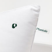 BF: Buckwheat husk pillow - bestseller (various sizes)
