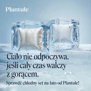 BF: Buckwheat husk pillow - bestseller (various sizes)
