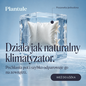 Plantule navy blue silk pillowcase (various sizes)