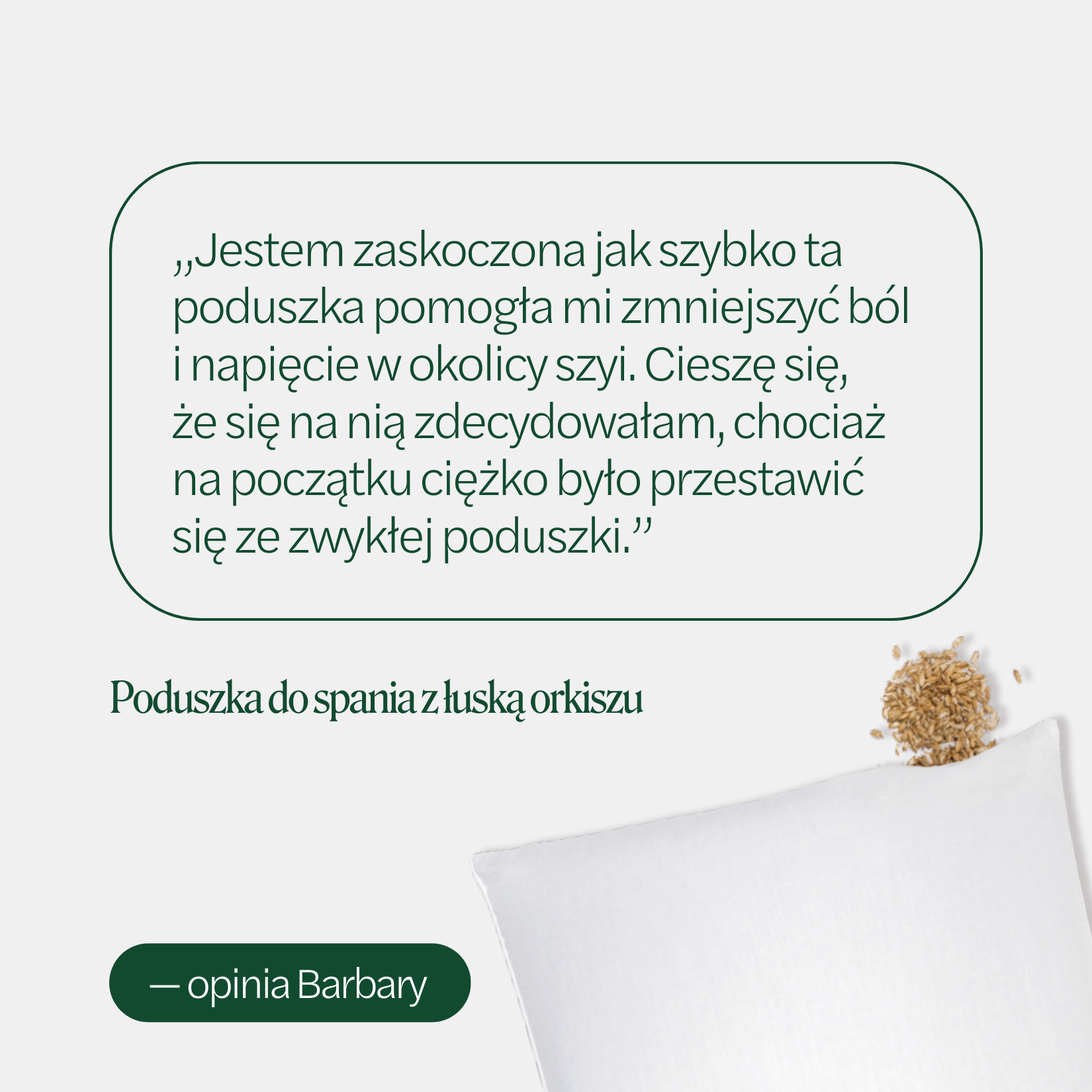 BF: Buckwheat husk pillow - bestseller (various sizes)