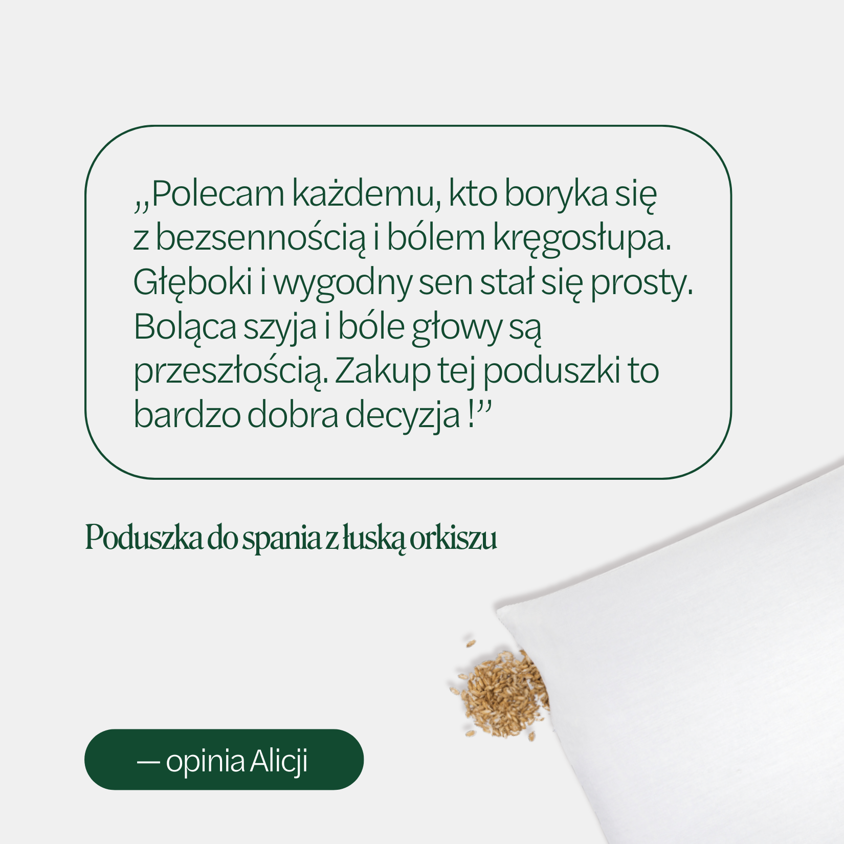 BF: Buckwheat husk pillow - bestseller (various sizes)