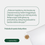 BF: Buckwheat husk pillow - bestseller (various sizes)