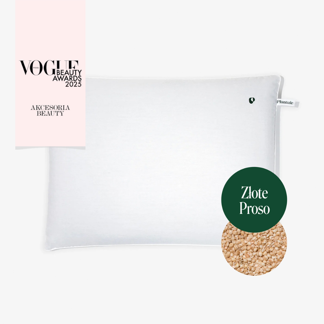 BF: Buckwheat husk pillow - bestseller (various sizes)