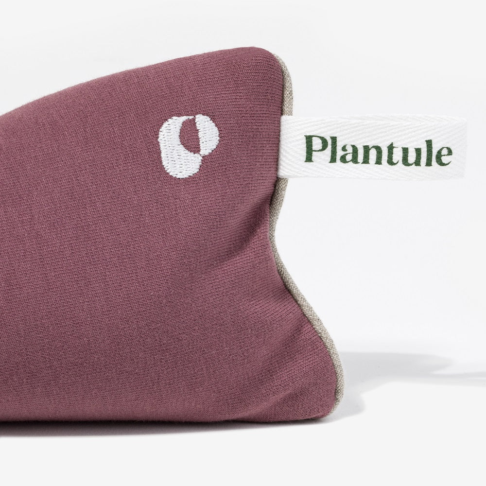 Plantule × Hebda Bay Set (Pink)