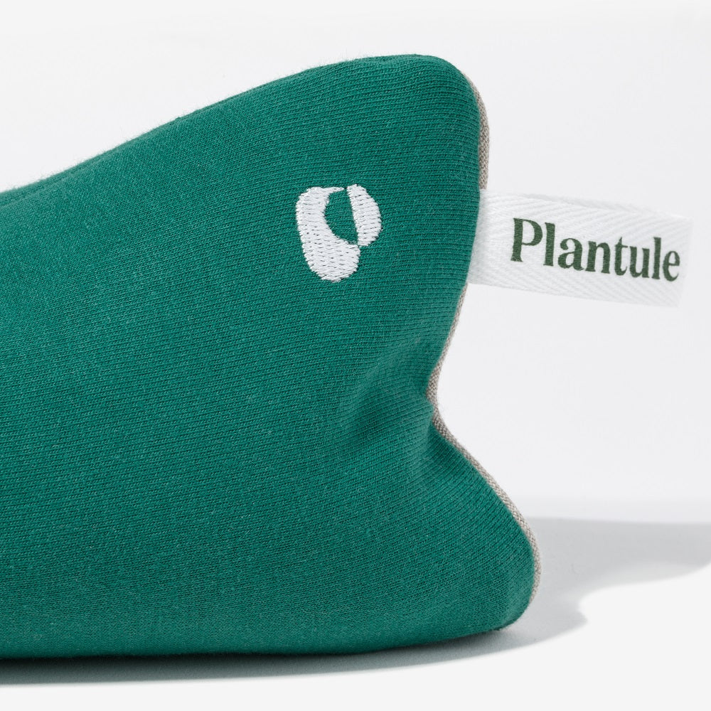 Plantule × Hebda Bay Set (Pink)
