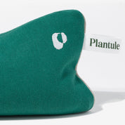 Plantule × Hebda Bay Set (Pink)