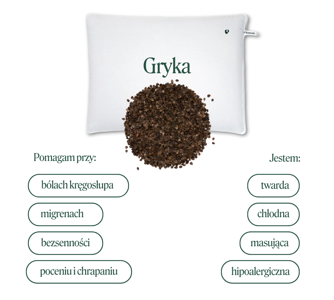 poduszka_z_luska_gryki_plantule.png