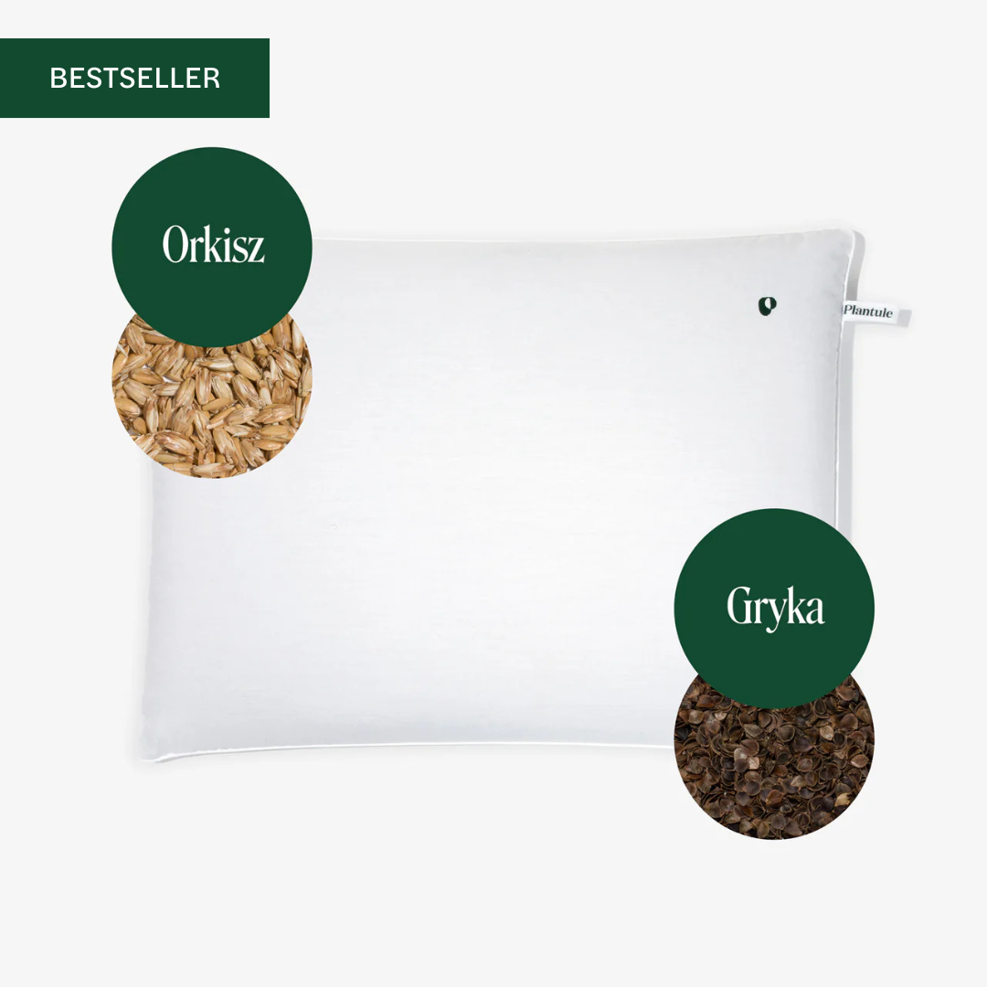 BF: Reversible pillow - bestseller
